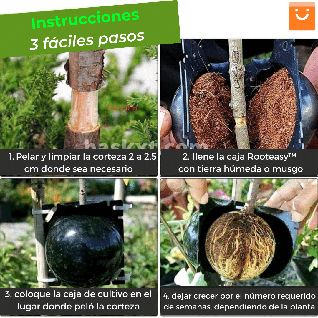 PACK 5 Unds RootEasy™️ - Cultiva plantas rápidamente