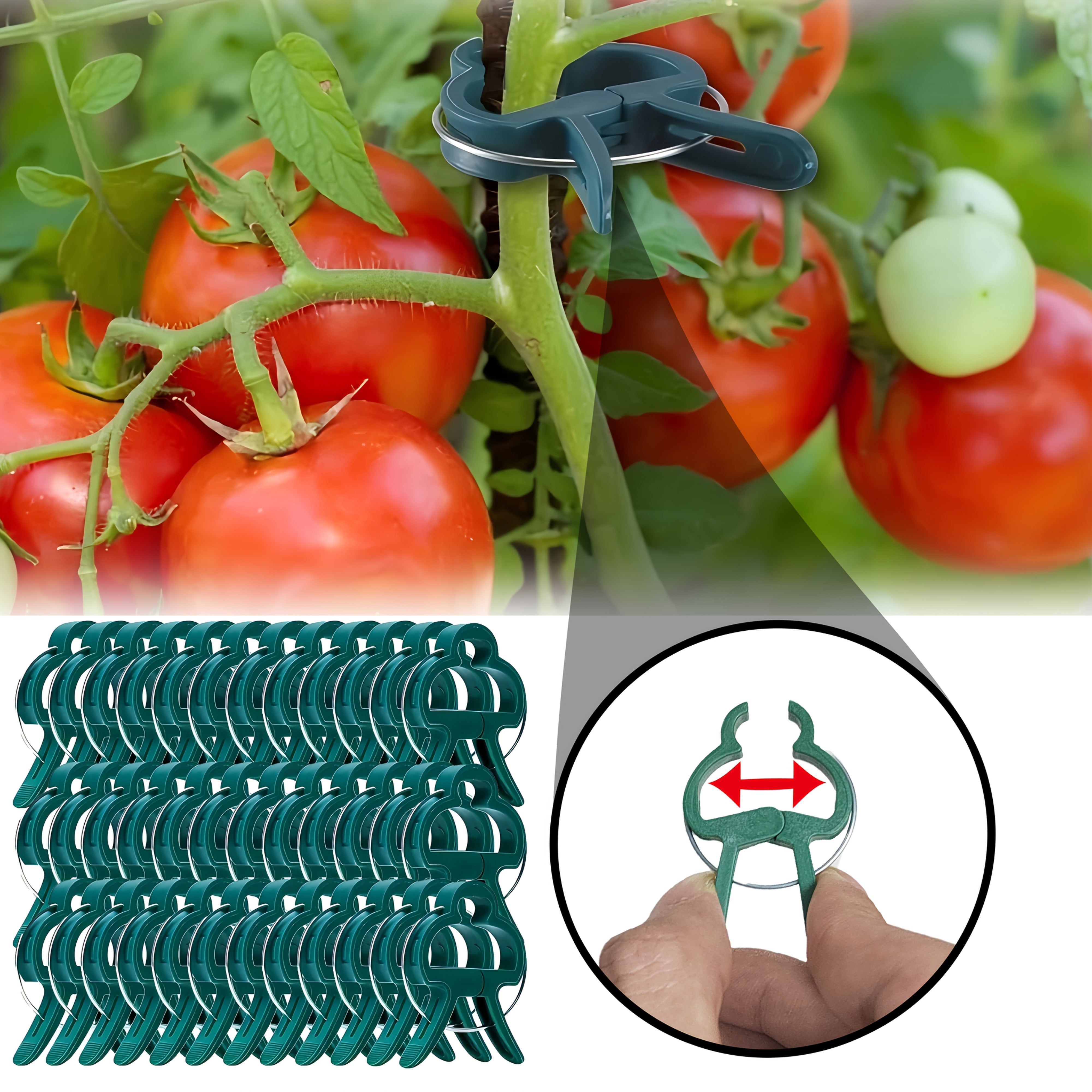 50 Piezas de Soportes para Plantas Resistentes - Pinzas Abiertas para Tomate, Pepino y Guisantes - Herramienta de Jardinería Duradera en Plástico para Cultivo Interior/Exterior - Estabilidad y Crecimiento Saludable de Vegetales