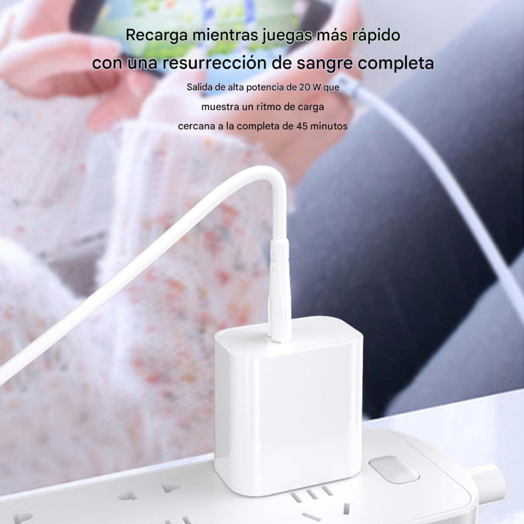 Cargador Para Celular Cable Type C / Type C Con Cabezal + Cable PZX P61