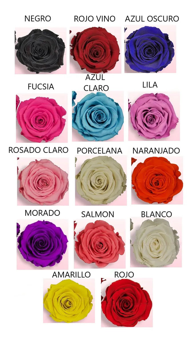Rosa Preservada Regalo Cúpula Vidrio Color Rojo + Tarjeta - Todos