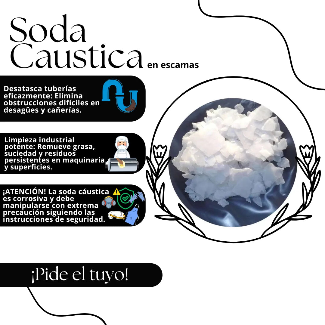 Soda Caustica En Escamas X 1kg