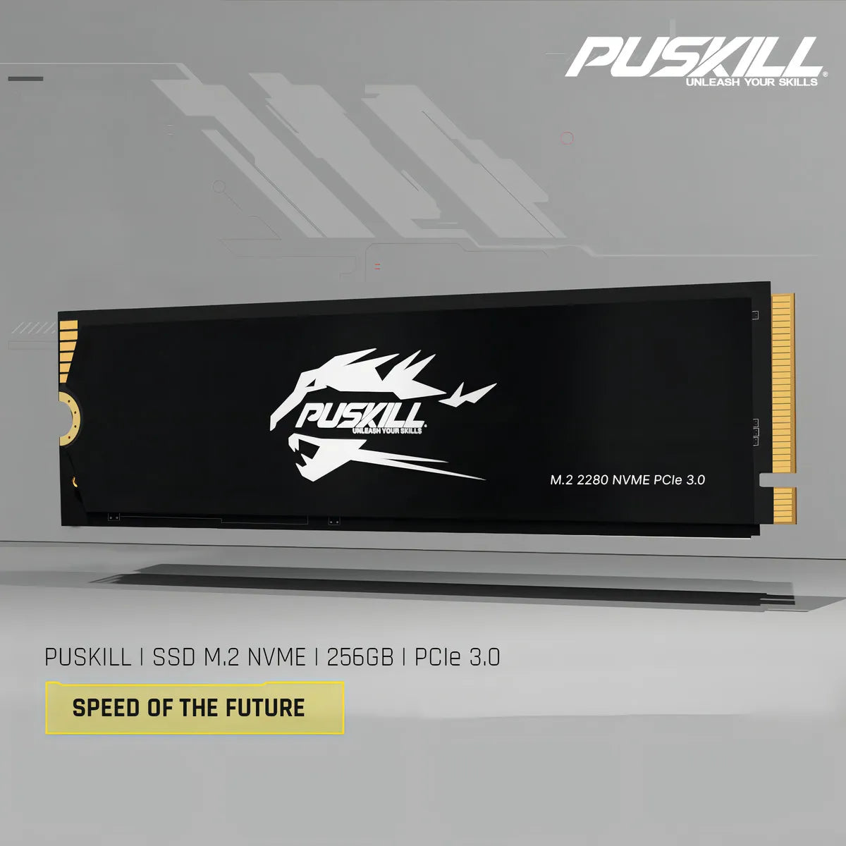 Hd Ssd M.2 2280 PUSKILL 256 GB NVMe PCIe 3.0x4 PSK-M2SSDP34-256g