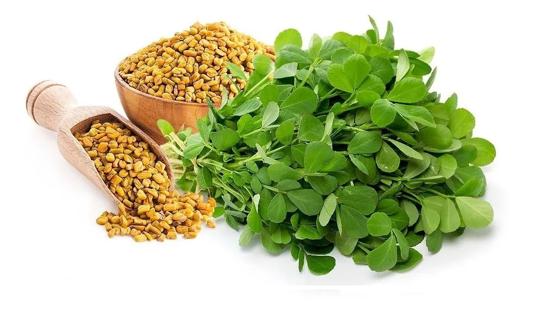 Fenugreek 2000mg 100 Capsulas