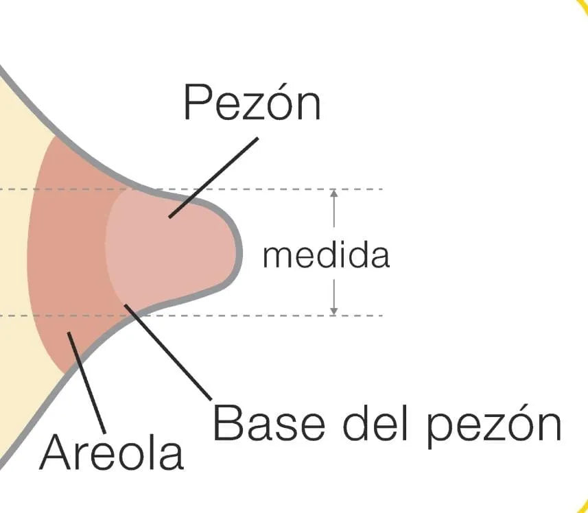 Medela Pezonera Protector 16mm 16 Mm