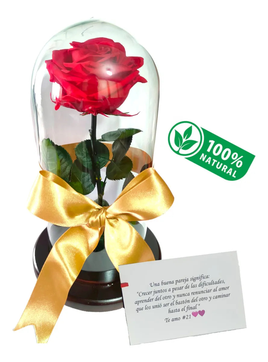 Rosa Preservada Regalo Cúpula Vidrio Color Rosa + Ferrero - Todos