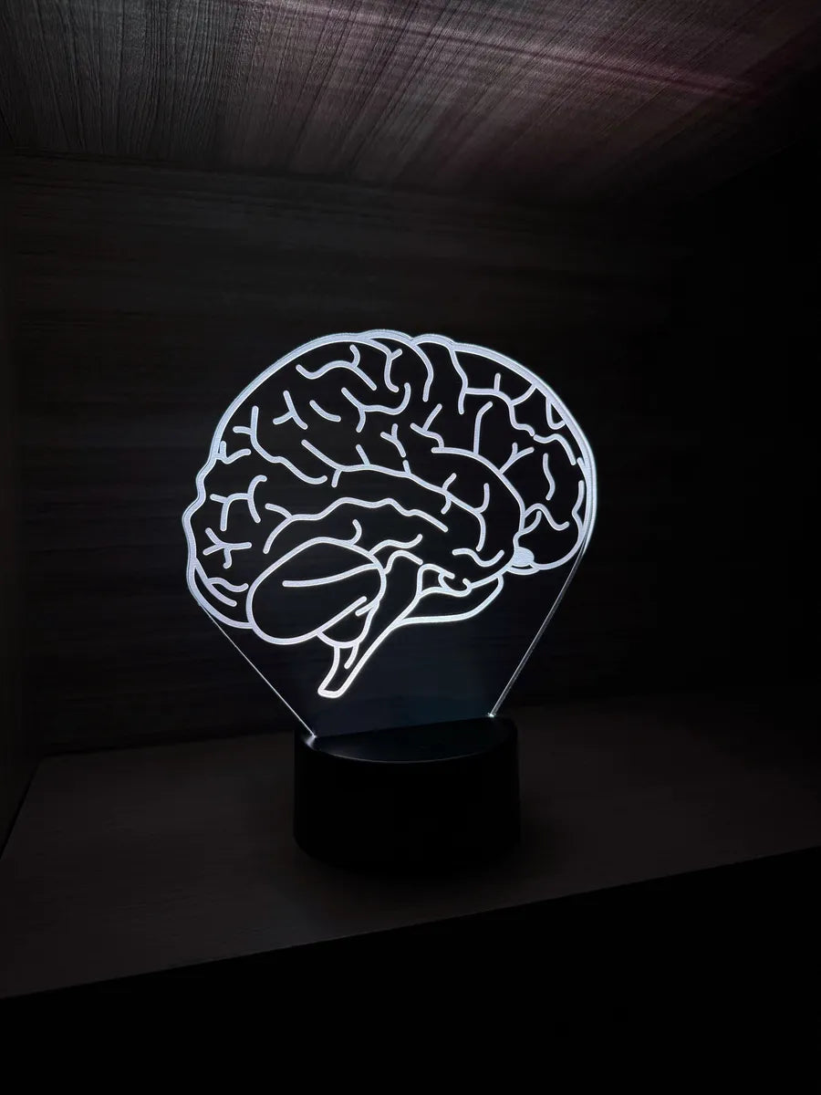 Lámpara De Noche Led Cerebro Regalo Decoración Holograma Negro