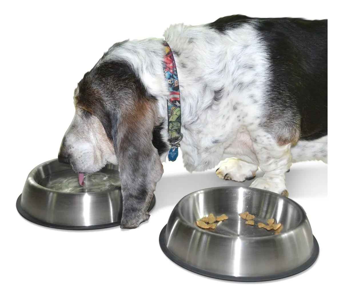 Comedero Plato Perro Grande 21 Cmts Diametro En Acero Color Plateado