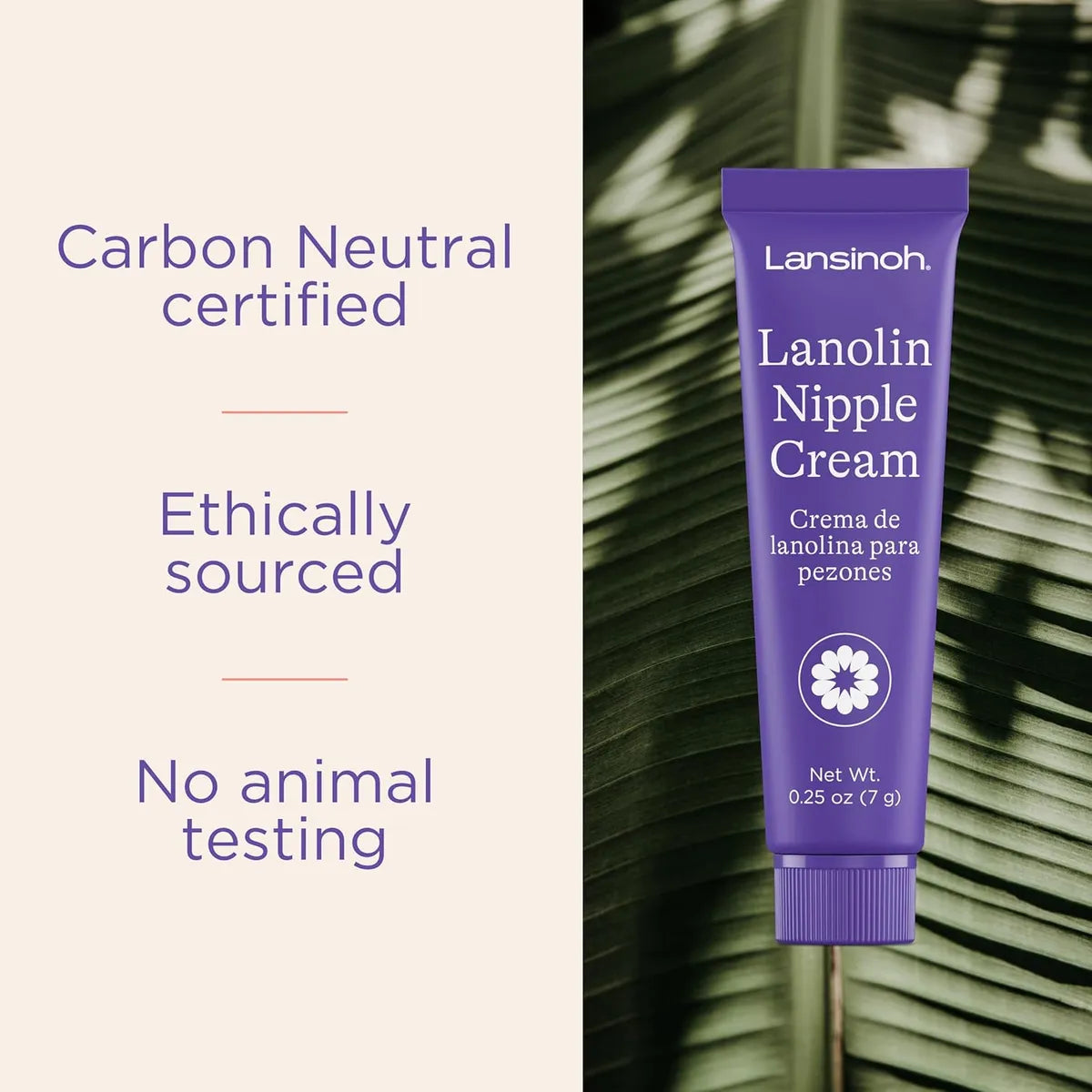 Crema Pezones Anti Grietas Lanolina Lansinoh Tubo 7gr 3 Unds Única