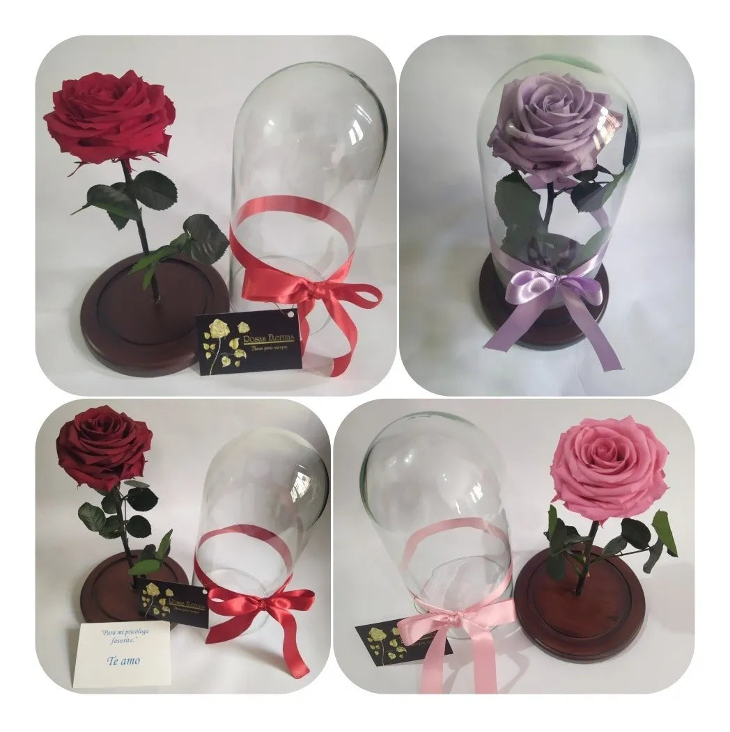 Rosa Preservada 100% Natural 29 Cm + Luz + Caja Regalo + Env - Todos