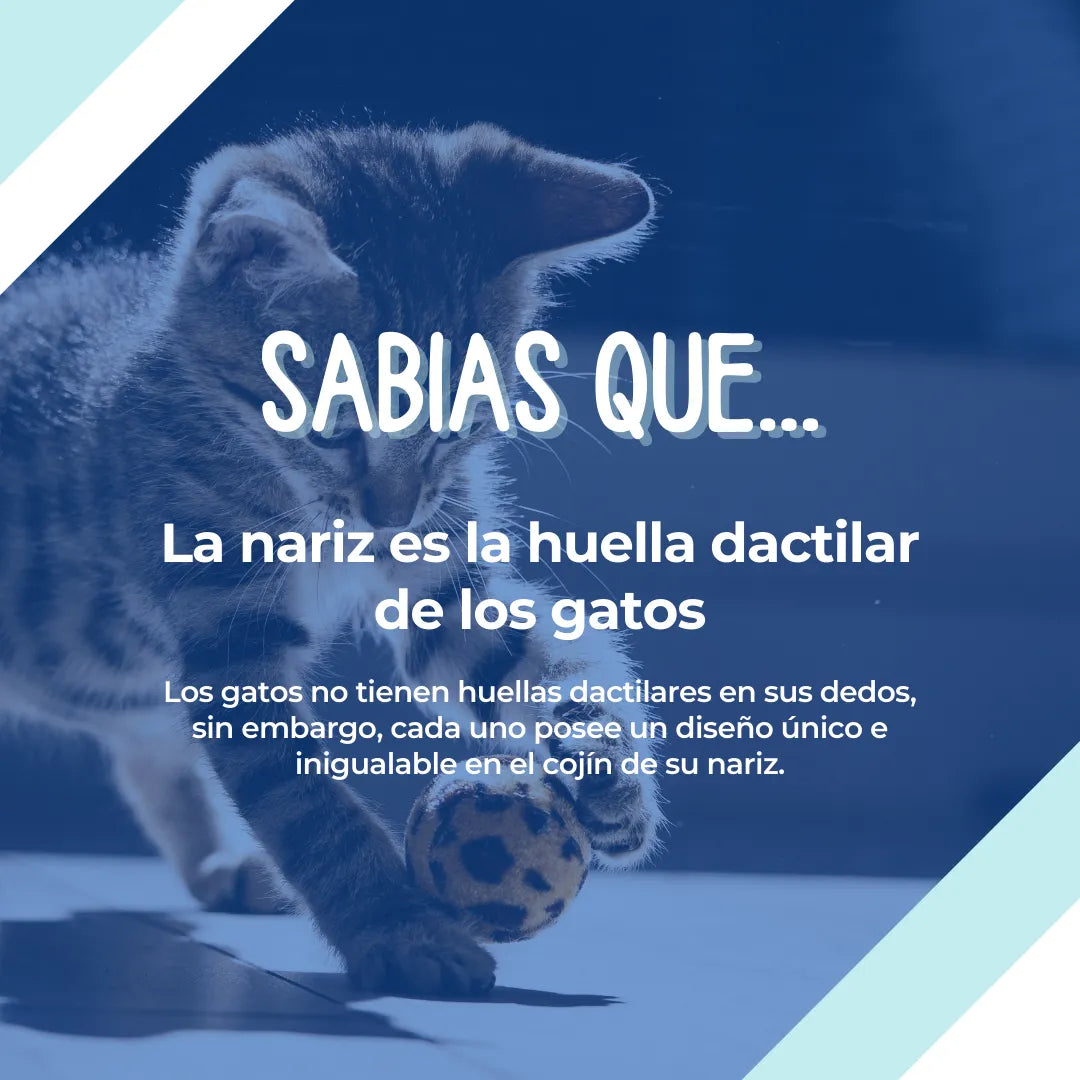 Arena Para Gatos 10k Talco Bebe