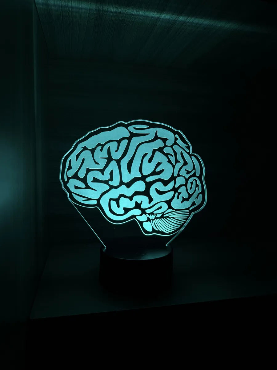 Lámpara De Noche Led Cerebro Decoración Regalo Holograma Negra