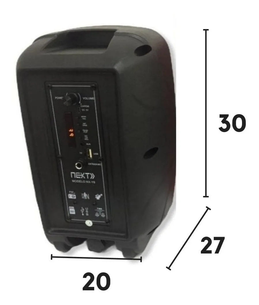 Parlante Cabina De Sonido Profesional Bt + Microfono 6.5' Negro