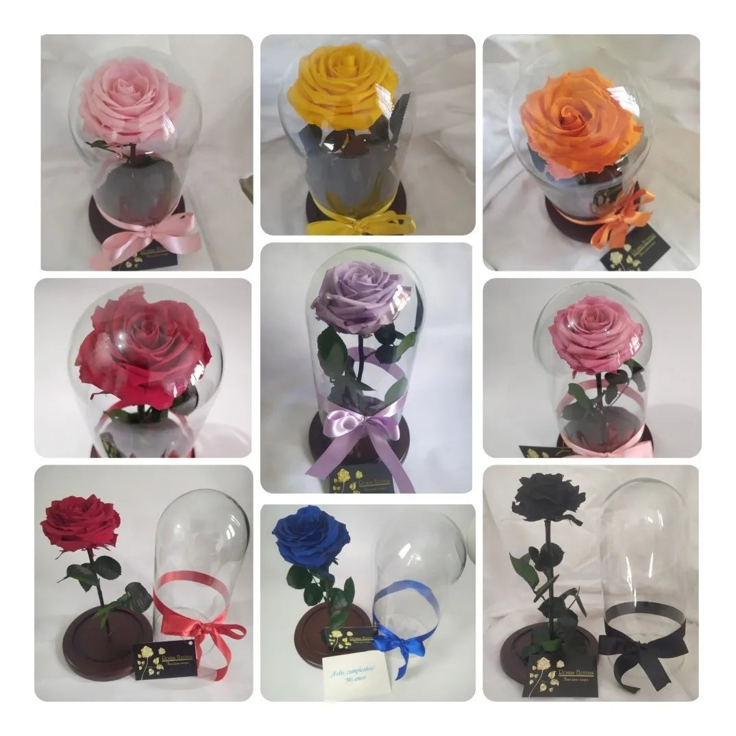 Rosa Preservada 100% Natural 29 Cm + Luz + Caja Regalo + Env - Todos