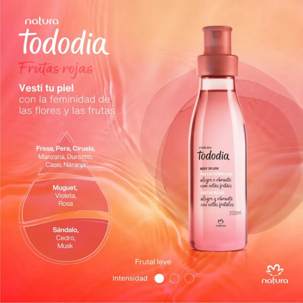 Kit Frutas Rojas Tododia Natura Frutos Rojos