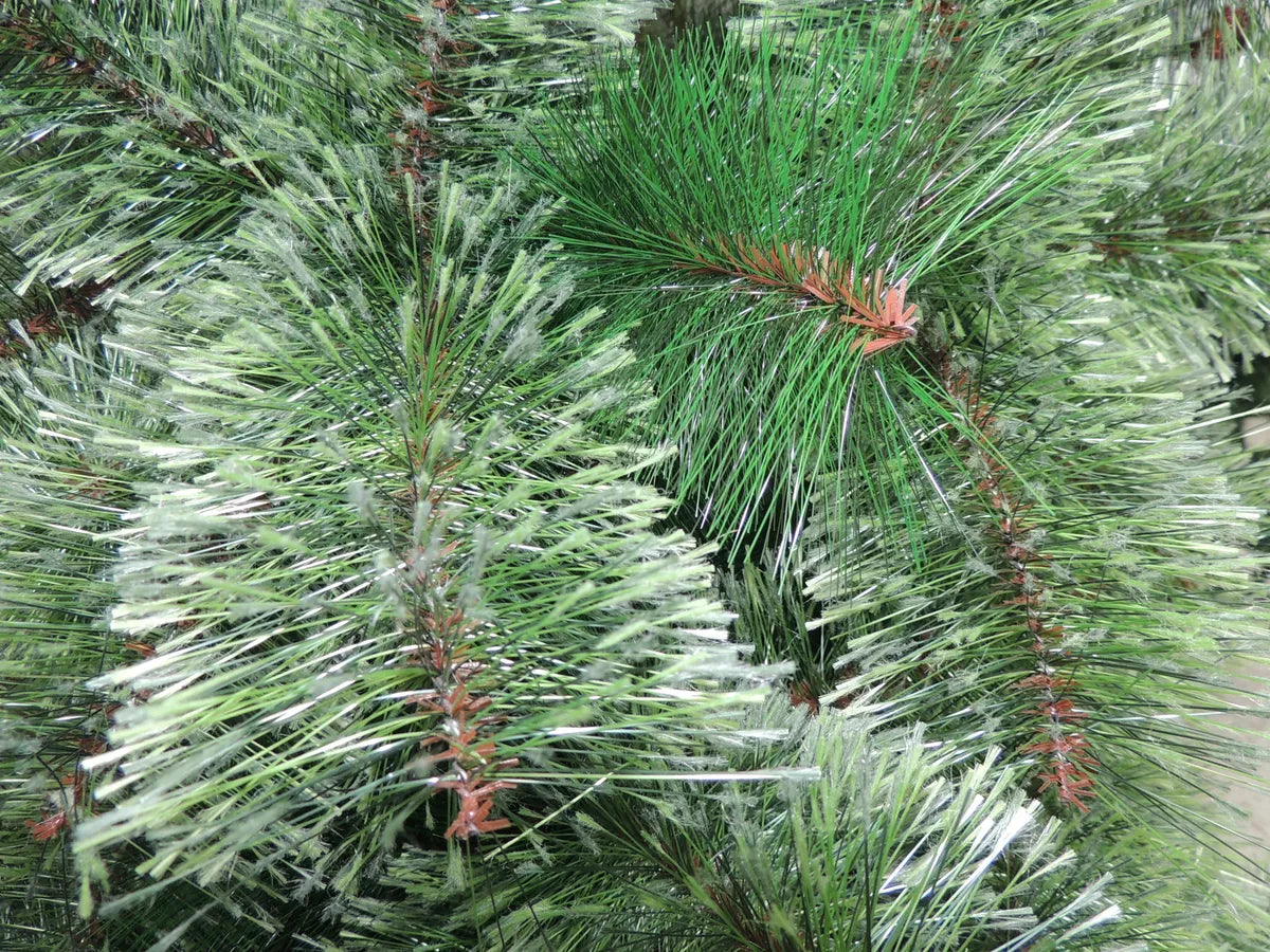 Arbol De Navidad Pino Siberia De 1.50 M Verde