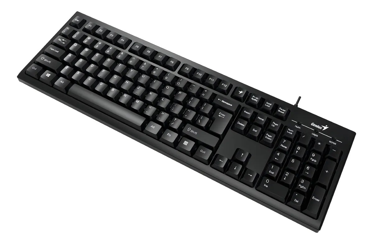 Teclado Genius KB-100 USB Negro
