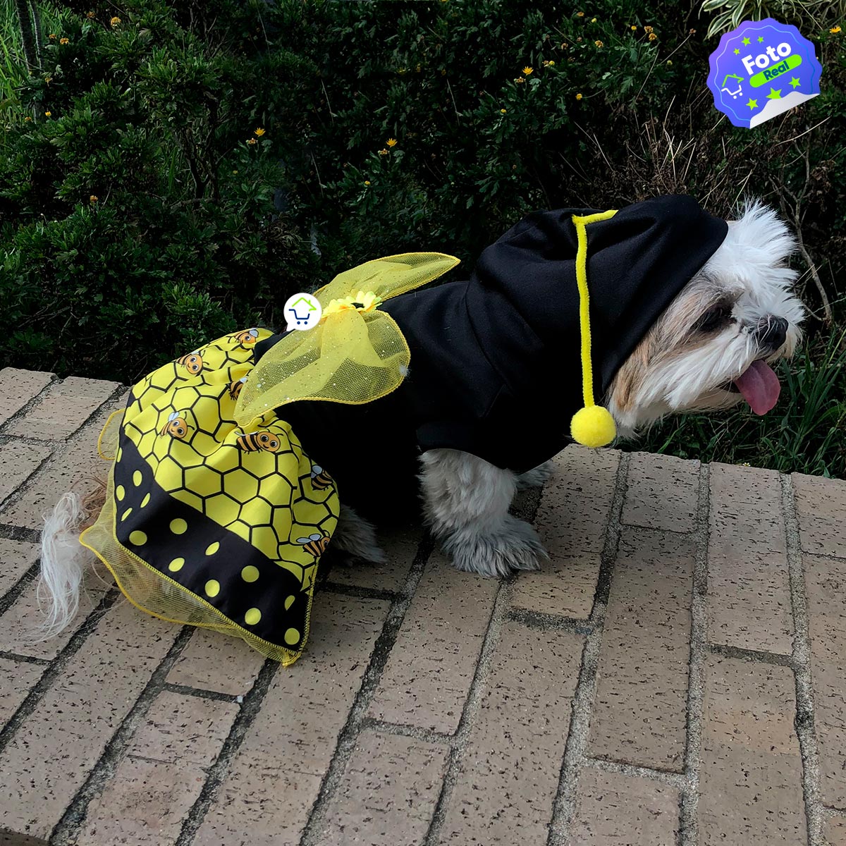 Disfraz Abeja Para Perro Gato Mascotas Halloween GD01ABEJ