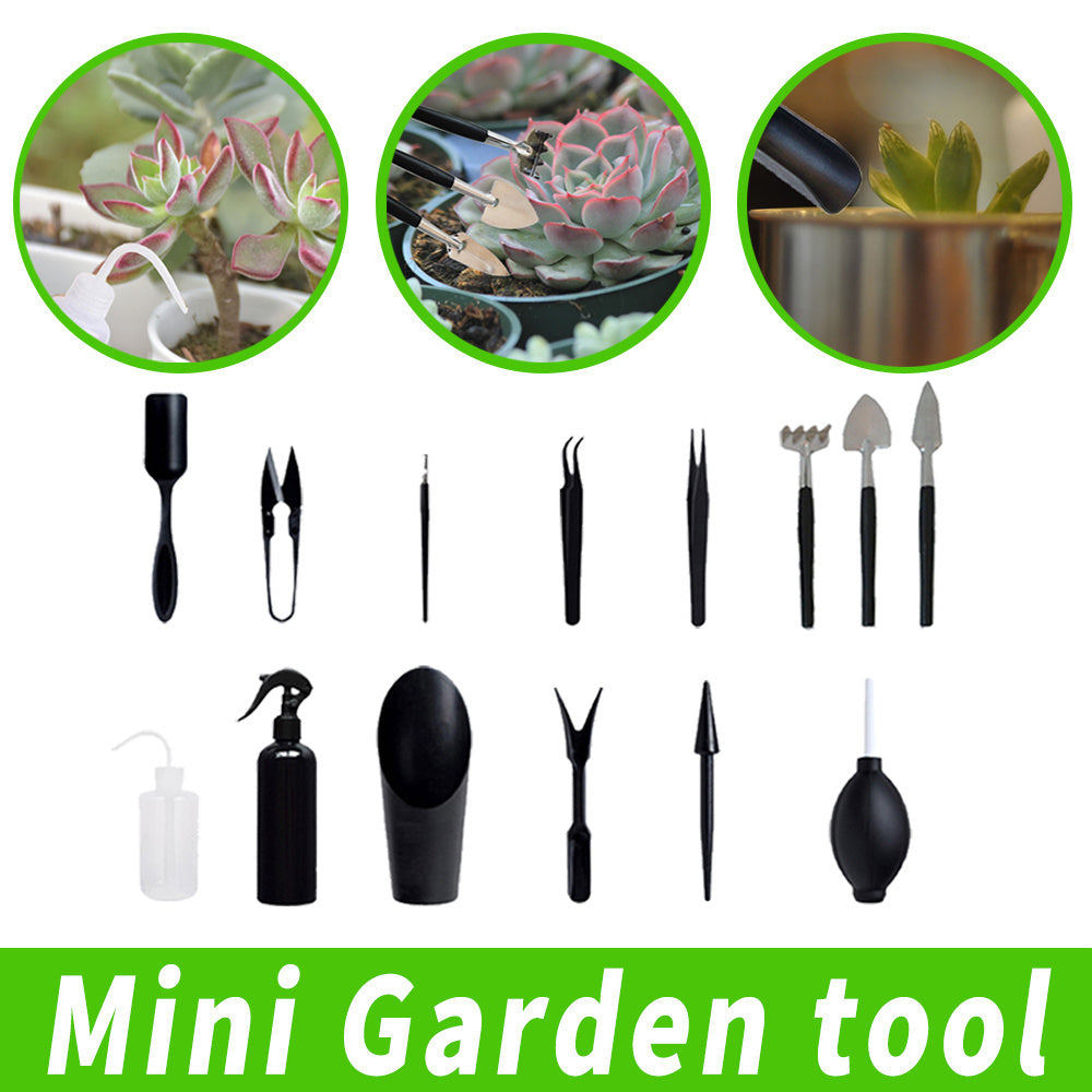 Kit de Cuidado para Bonsáis - Juego Completo de Herramientas de Jardinería para Plantas de Interior, Cactus y Jardines Mágicos - Mangos de Madera Duraderos, Diseño Fácil de Usar, Macetero, Cultivo de Plantas