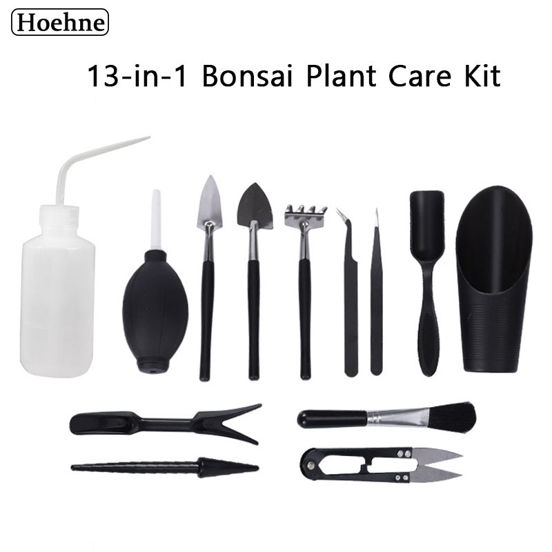 Kit de Cuidado para Bonsáis - Juego Completo de Herramientas de Jardinería para Plantas de Interior, Cactus y Jardines Mágicos - Mangos de Madera Duraderos, Diseño Fácil de Usar, Macetero, Cultivo de Plantas