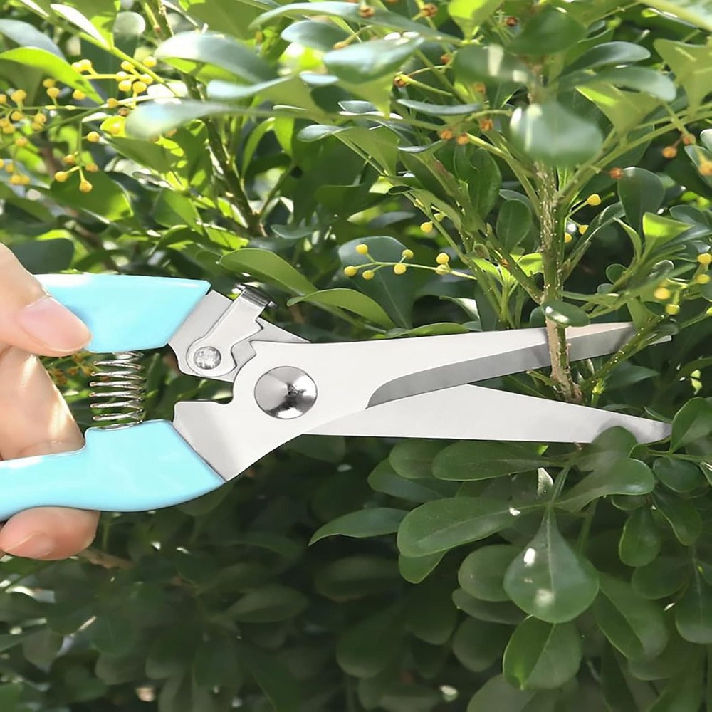 2 piezas de tijeras de jardín, juego de tijeras de flores, tijeras de poda para flores, tijeras de poda, herramientas de jardinería, arbustos, rosas y árboles frutales, uso para floristas, jardines y huertos. Los cortadores de plantas, tijeras de acero b