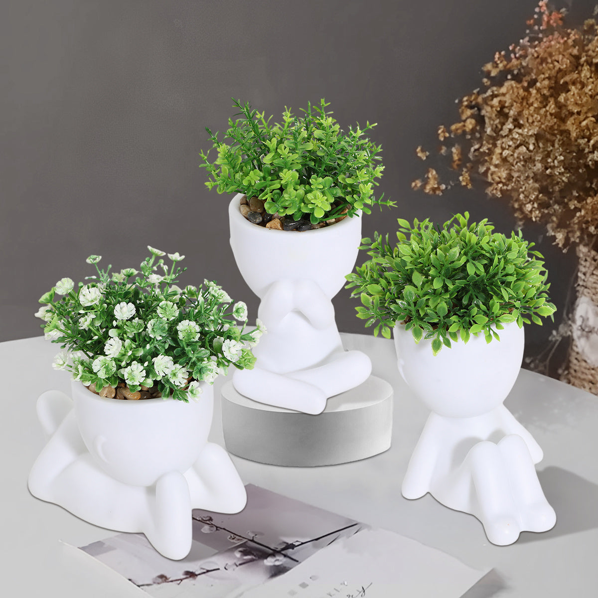 1pc Planta artificial de hoja de eucalipto en maceta, decoración de mesa de follaje de plumeria falsa, acento floral blanco, estilo INS, blanco y verde, material duradero de PP y PE, perfecto para entrada de casa, comedor, sala de estar, dormitorio, jard