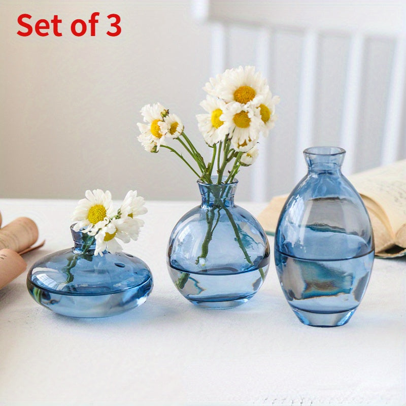 Conjunto de 3 jarrones de vidrio modernos, jarrón redondo decorativo transparente para hidroponía y flores secas, trío de pequeños jarrones de vidrio de lujo creativos, elegante exhibición para la mesa.