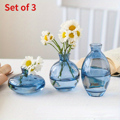 Conjunto de 3 jarrones de vidrio modernos, jarrón redondo decorativo transparente para hidroponía y flores secas, trío de pequeños jarrones de vidrio de lujo creativos, elegante exhibición para la mesa.