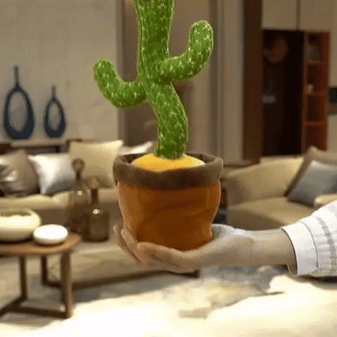 Cactus Bailarin