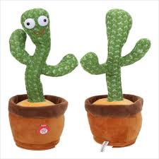Cactus Bailarin