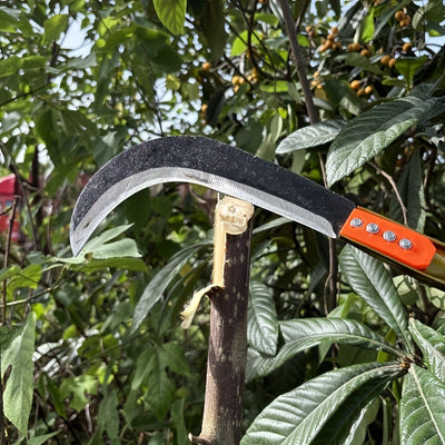 2 en 1 Cuchillo de Acero al Carbono y Guadaña para Cortar Hierba - Herramienta Manual Resistente para Agricultura, Jardinería y Cuidado del Césped - Mangos Ergonómicos, Sin Necesidad de Electricidad