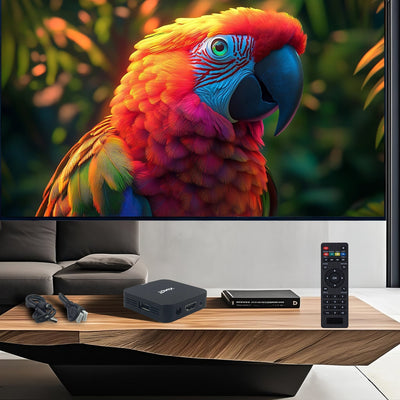 Decodificador Android 10 1GB/8GB, 2GB/16GB Reproductor HD Smart TVBox con control remoto infrarrojo y USB, imprescindible en el hogar, el regalo perfecto para la familia