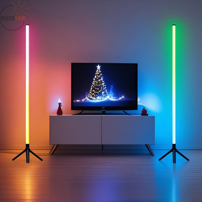 Lámpara de suelo inteligente RGB LED de esquina BINDLAN, lámpara de plástico independiente con control remoto + cable USB, inalámbrica, ideal para decoración de sala de estar, decoración de sala de estar | Decoración moderna | Lámpara alimentada por USB,