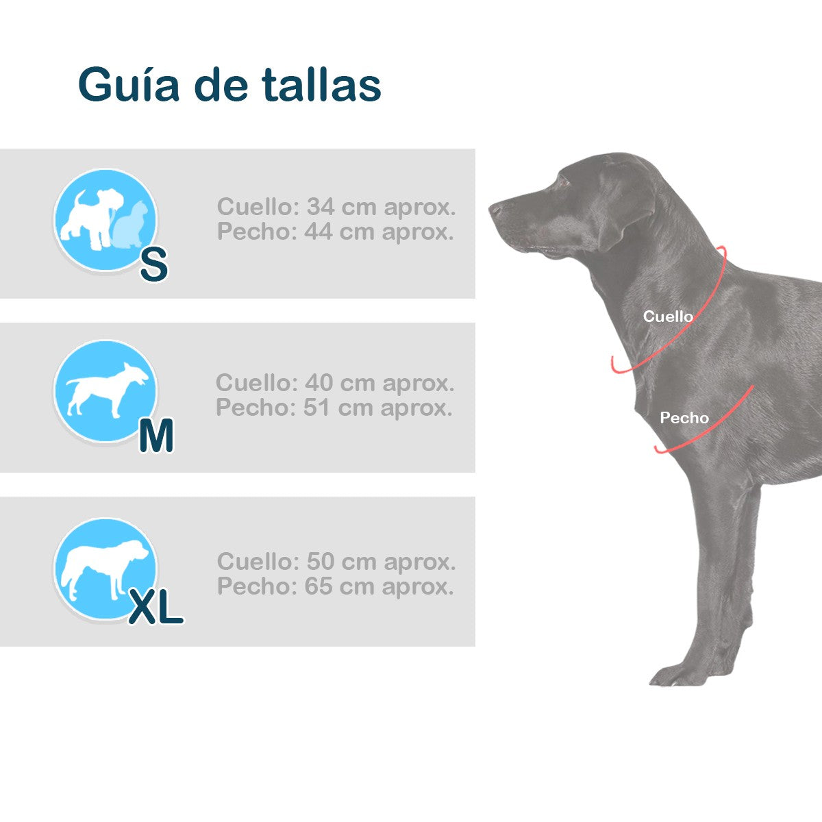 Disfraz Perro Gato Mascotas Hada Halloween GY002HA