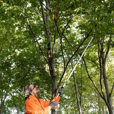 Tenazas de Acero Inoxidable con Mango Ergonómico Largo y Cuchillas Giratorias - Tijeras de Jardinería Cómodas, Ideales para Recolección de Frutas y Podado de Ramas - Herramienta Manual Duradera para Jardineros Caseros y Profesionales, Estilo Clásico de C
