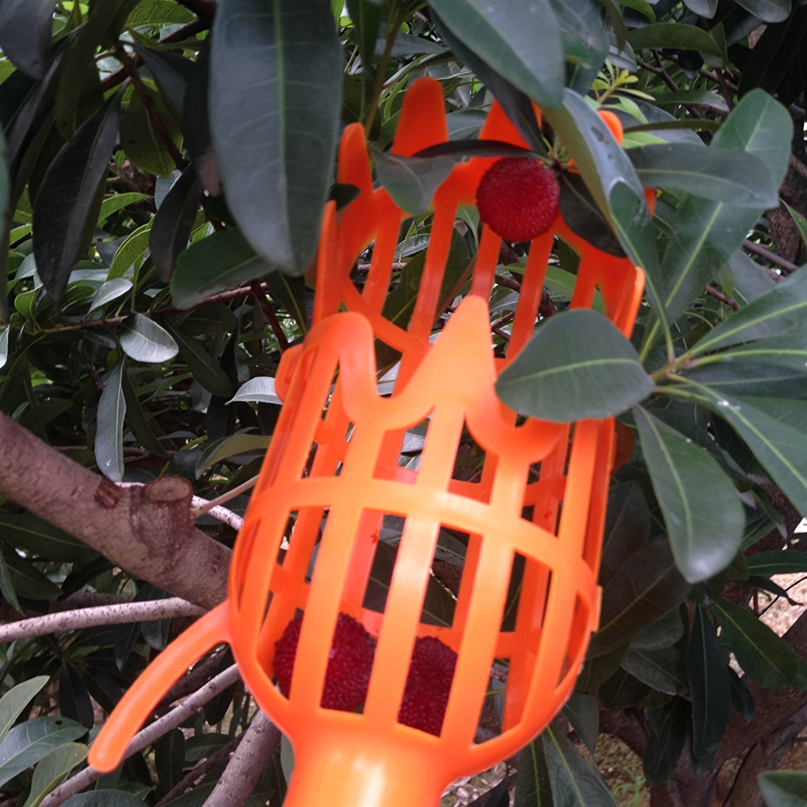Herramienta Recogedora de Frutas Telescópica Naranja y Amarilla con Garras para Nísperos, Ciruelas y Yangmei - Cosecha en Altitudes Elevadas, Sin Batería Necesaria, Diseño Duradero de Metal