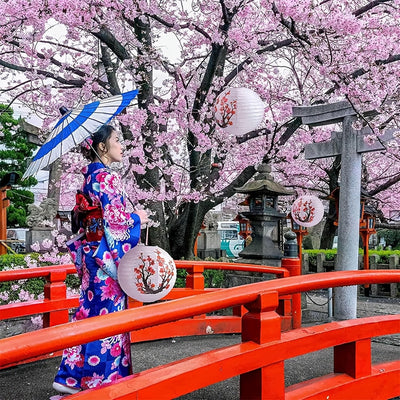 Kit de Decoraciones para Fiestas Japonesas y Chinas de 16 Piezas - 6 Linternas Japonesas y 10 Linternas Chinas Rojas para Año Nuevo, Festival de Primavera, Boda, Fiesta, Ocasión de Boda, Ocasión de Despedida de Soltera, Ocasión Universal