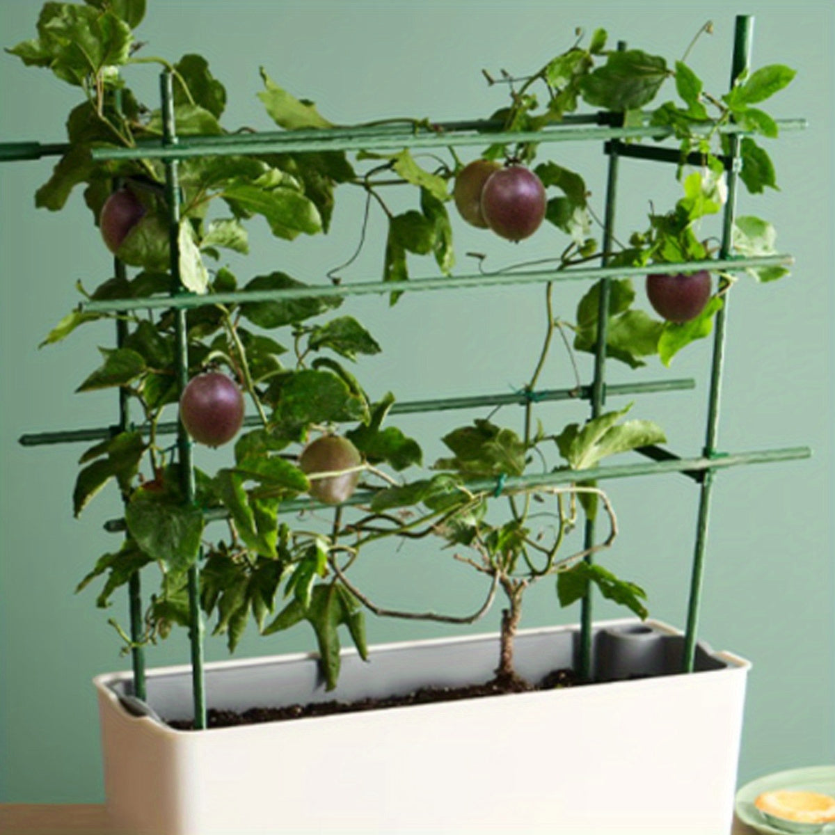 10 piezas de soportes de plantas trepadoras de jardín de alta resistencia - Marco de acero y plástico de PE duradero, no necesita electricidad para vides, pepinos, tomates, guisantes - Sistema de soporte de plantas ahorrador de espacio para interiores y