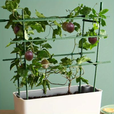10 piezas de soportes de plantas trepadoras de jardín de alta resistencia - Marco de acero y plástico de PE duradero, no necesita electricidad para vides, pepinos, tomates, guisantes - Sistema de soporte de plantas ahorrador de espacio para interiores y