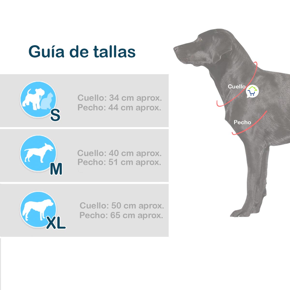 Disfraz Bruja Para Perro Gato Mascotas  Halloween GD01BRUJN
