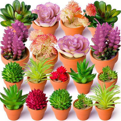 Combinación de 27 piezas de mini suculentas DIY, muebles de exhibición para cocina y sala de estar, decoración creativa interior y exterior, planta verde bonsái para primavera, otoño, Festival de Acción de Gracias y Cosecha