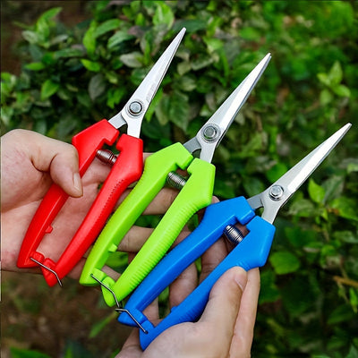 3 piezas de tijeras de poda coloridas - Tijeras de jardín de acero inoxidable para árboles frutales, agarre ambidiestro, estilo clásico, no necesita electricidad, ideal para podar flores y ramas, herramienta de jardinería