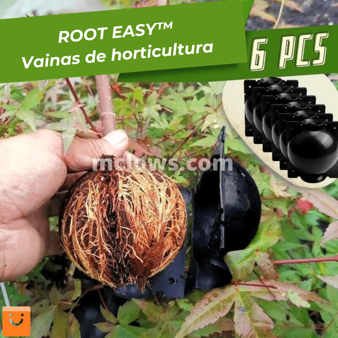 PACK 5 Unds RootEasy™️ - Cultiva plantas rápidamente