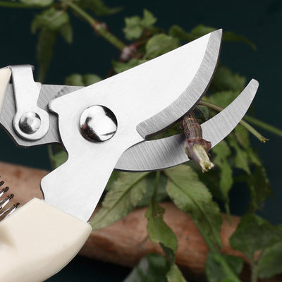 Pack de 2 Tijeras para Jardín Resistentes - Cortaúñas Rectos y de Desvío con Mangos Blancos Ergonómicos, Agarres Antideslizantes y Construcción Duradera para Flores, Plantas, Bonsái, Frutas - Ideales para Jardineros Caseros y Paisajistas Profesionales, H