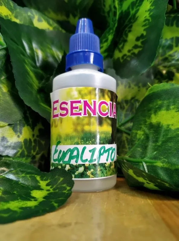 Esencia Eucalipto Hidrosoluble
