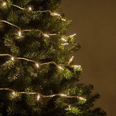 Extensión 50 Luces Navideñas Led Wintergreen Lighting