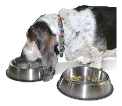 Comedero Plato Bebedero Perro Grande 21 Cmts Diametro, Acero Plateado