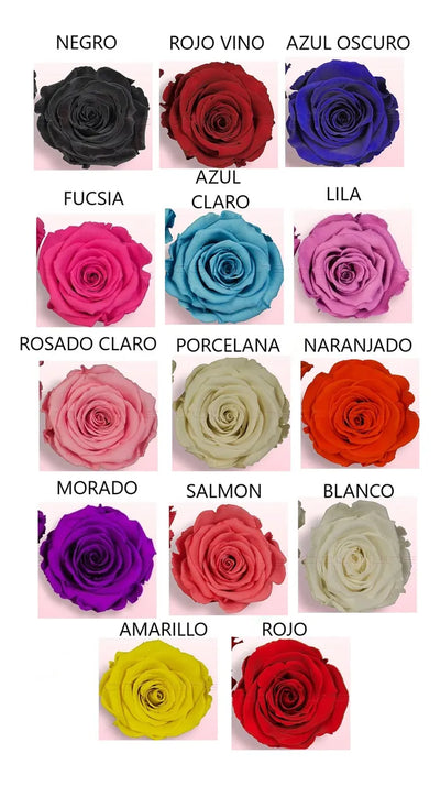 Rosa Preservada Regalo Cúpula Vidrio Color Rojo + Tarjeta - Todos