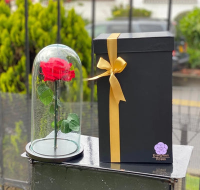 Rosa Preservada Cúpula Vidrio Y Caja Regalo Color Rojo