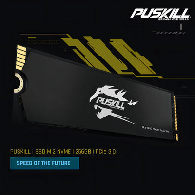Hd Ssd M.2 2280 PUSKILL 256 GB NVMe PCIe 3.0x4 PSK-M2SSDP34-256g