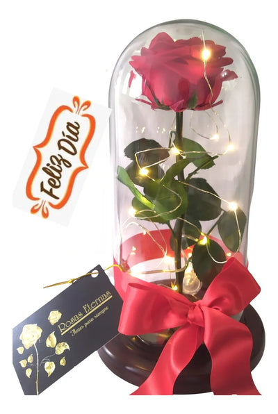Rosa Preservada 100% Natural 29 Cm + Luz + Caja Regalo + Env - Todos